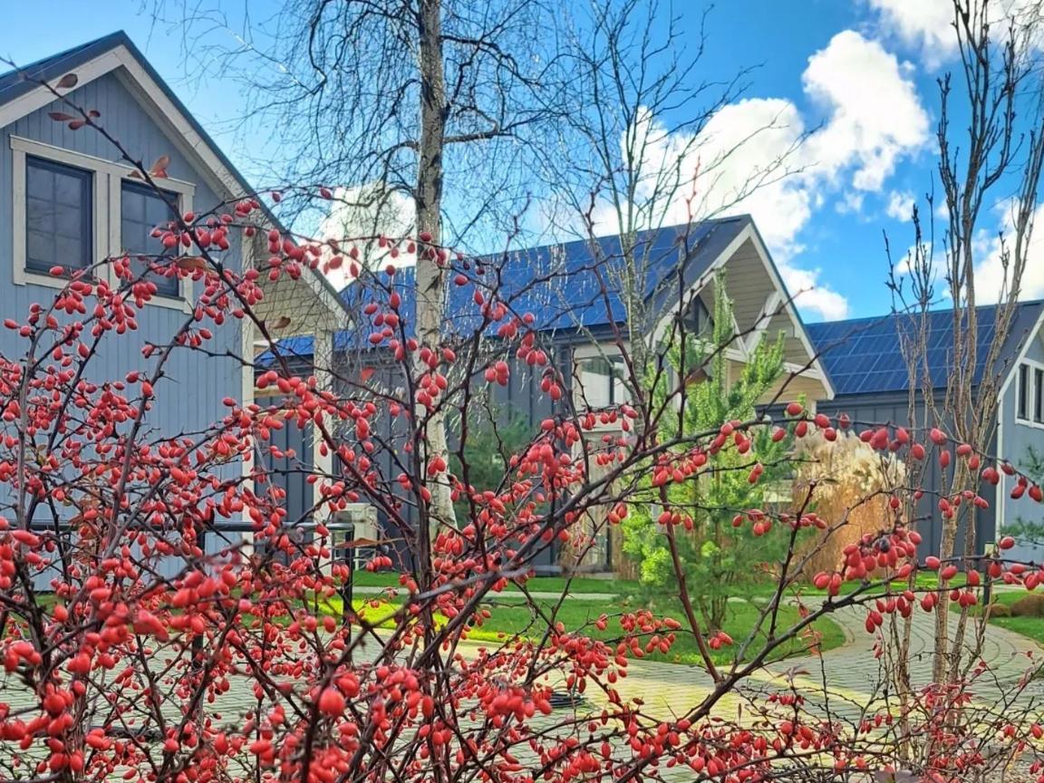 6_banga Villa Palanga Bagian luar foto